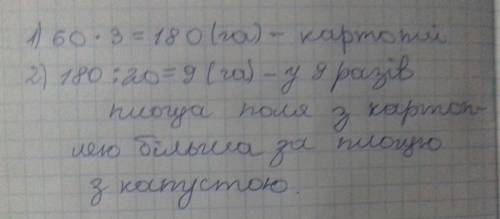 Картоплю посадили на трох ділянках поля площею по 60 га кожна, а капусту на полі площею 20 га. у скі