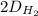 2D _{H _{2} }