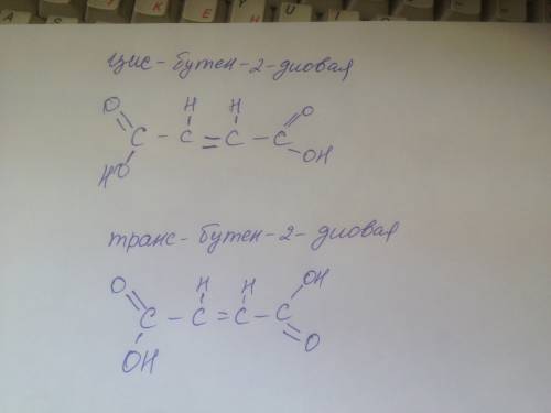 (цис- и транс-) изомерия на примере бутен-2-диовой кислоты