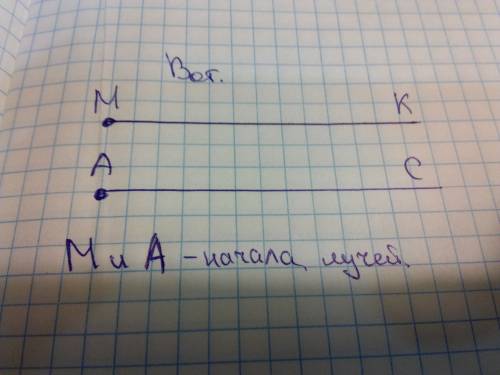 Начерти лучи мк и ас. назови начала каждого луча?