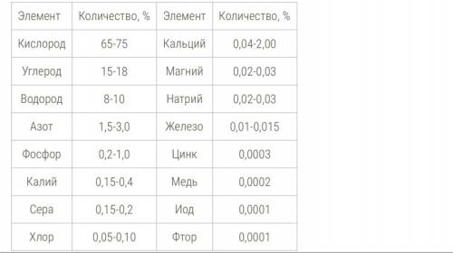 Элементарный состав углеводов, белков, нуклеиновых кислот.