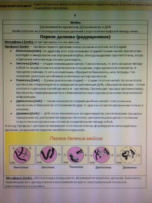 1. что такое аэробное окисление? какие продукты образуются при аэробном окислении глюкозы? 2. мейоз,