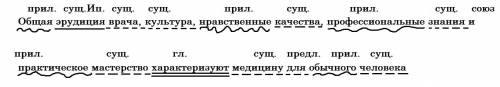 Подчеркните однородные члены предложения, определите их роль в предложении 1 общая эрудиция врача, к