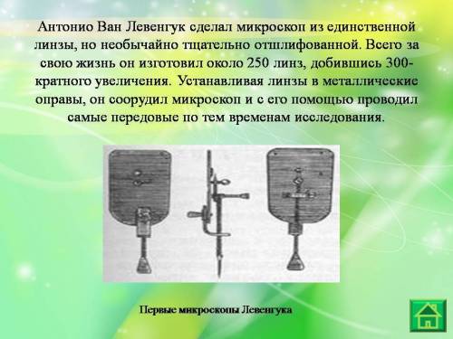 Нужно что-нибудь придумать на тему экскурсия в мир простейших что бы я смогла сделать презентацию.