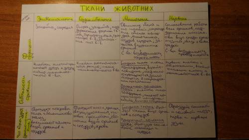 1вид ткани 2где встречается 3особенности 4особенности клеток и межклеточного вещества