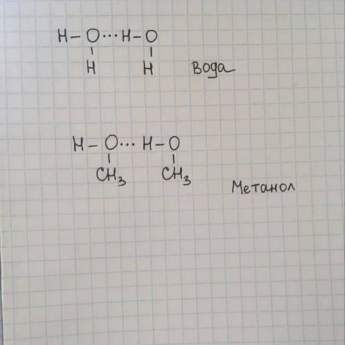 Изобразите точками водородные связи между молекулами воды и метанола