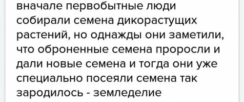 Напиши мини сочинение на тему как первобытные люди выращивали зерно