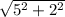 \sqrt{ 5^{2}+ 2^{2} }