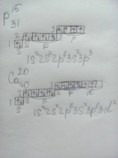 Объясните,,как составлять электронную формулу (всё понятно,кроме степени,как они находятся? ) ca,p (
