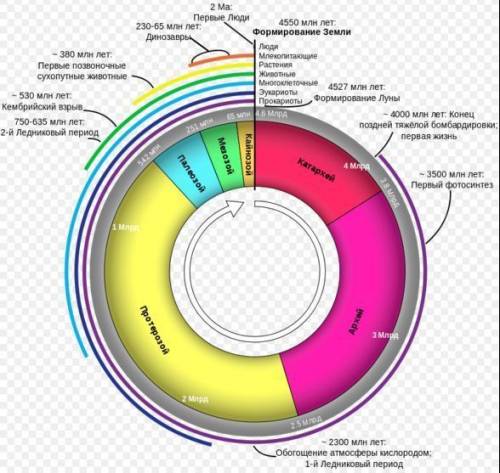 На какие этапы делится развития земли ( название этапов)