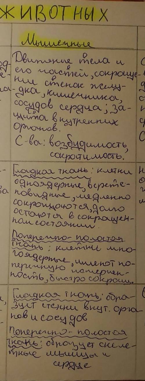 Заполните таблицу. группы мышечна виды: строение: местонахождение: функции: тема человек