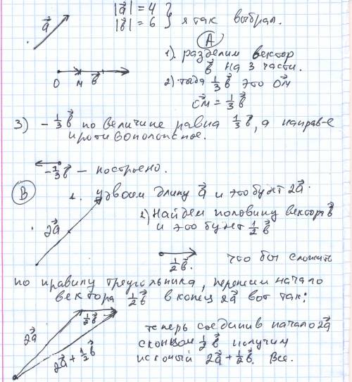 Начертите два неколлиниарных вектора a и b. постройте векторы: -1/3b и 2a+1/2b !