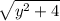 \sqrt{ y^{2} +4}