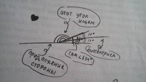 Какой угол образует биссектриса угла в 34° с продолжением его стороны? если возможно,с объяснением,