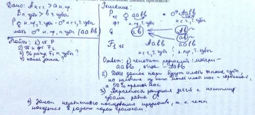 Учеловека нос с горбинкой (а) - доминантный признак, а прямой нос - рецессивный. полные губы (в) - д