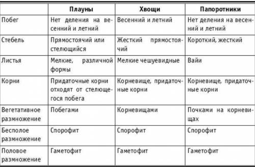 Сравните развитие маховидных , плауновидных, хвощевых и папоротниковых растений.