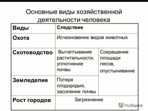 Основные виды хозяйственной деятельности.