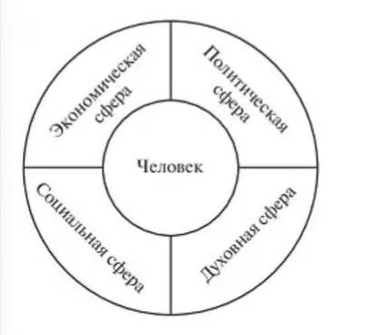 Социальна сфера включает четыре главных вида деятельности какие?