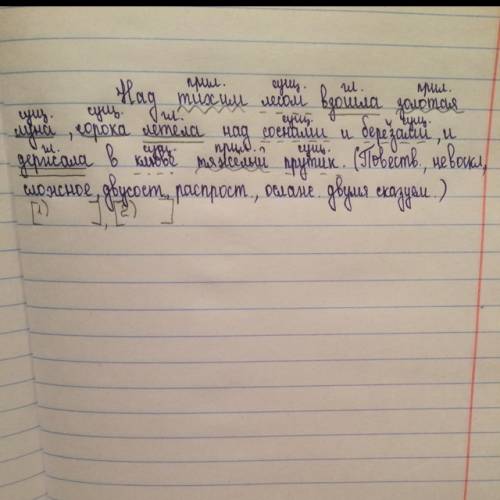 Выполнить синтаксический разбор предложения. над тихим лесом взошла золотая луна,сорока летела над с
