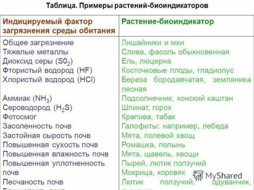 Что вы знаете об организмах которые называют биоиндикаторами выясните какие из них обитают в вашей м