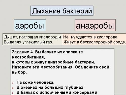 Аэробы в процессе дыхания возвращают в окружающую среду