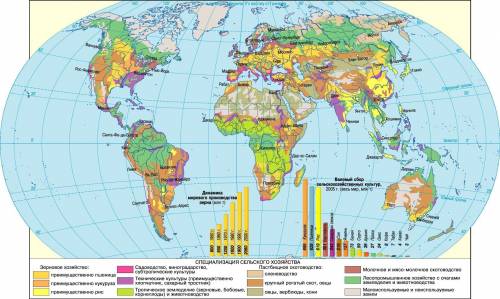 Назовите главные сельскохозяйственные районы мира