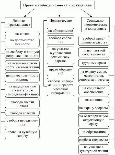 Начертите схему по теме «права человека и гражданина»