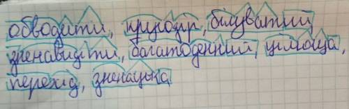 Треба розібрати слова за будовою: обводити , кругозір , білуватий, зненавидіти , багатоденний , цілю