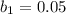 b_{1} = 0.05