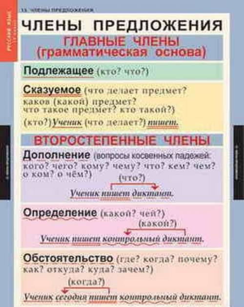 Скажите все однородные члены в пятом классе