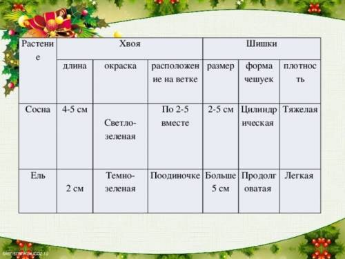 25 . биология. заполните таблицу: растение: пихта длина хвои: окраска хвои: расположение хвои на вет