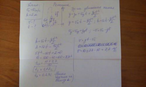 Камень бросают вертикально вверх с земли со скоростью 10 м/с, который после подъема падает на , нахо