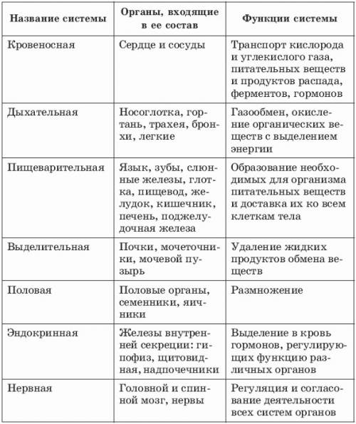 Таблица система органов и органы в её составе