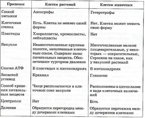 Таблица, сравните клетки животных и растений . назовите черты их сходства и различия.