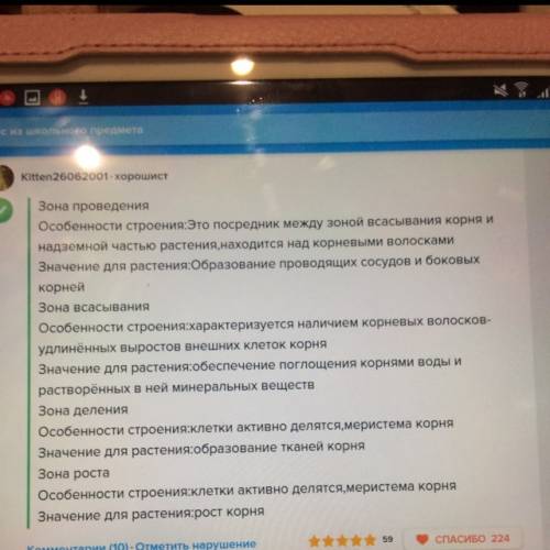 Расскажите о тканях, особенностях, и функциях каждой зоны корня растения