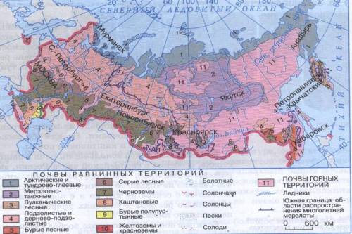 Таблица по теме: типы почв россии 1)типы почвы 2) положение почв 3)хар-ка почв 4)растительность