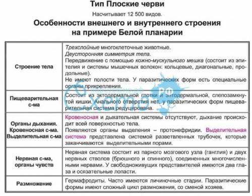 Заполните таблицу системы органов плоских червей