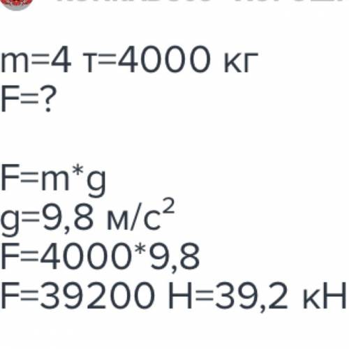 Найдите силу тяжести действующую на кошку массой 4 кг, сидящую на земле