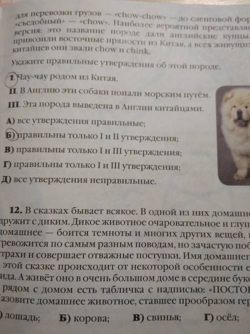 Собак породы чау-чау в различные периоды своего существования называли по–разному: тибетские мастиф,