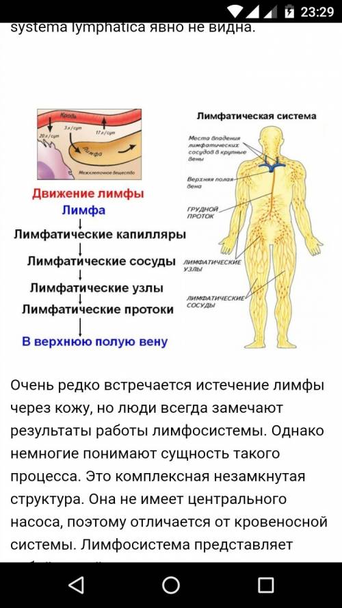 Как происходит передвижение лимфы по лимфатической системе? кратко