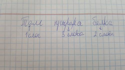 Состав каждому слову схему,раздели на слогиё. там прыгала белка.