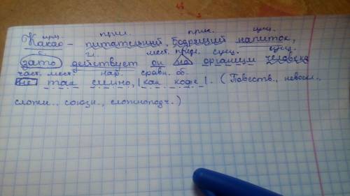 Синтаксический разбор предложения: какао-питательный, бодрящий напиток, зато действует он на организ