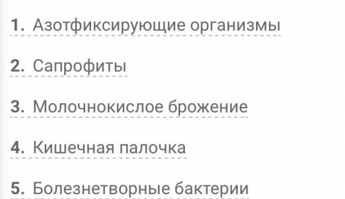 Вкакой среде обитания находятся почвенные бактерии молочнокислые,болезнетворные,азотфиксирующие