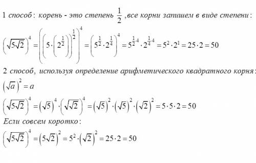 (√5√2)⁴ (корень из 2 под корнем из 5)