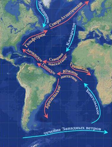 Все течения атлантического океана( и холодные и тёплые)