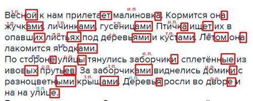 Весной к нам прилетает малиновка. кормится она жучками, личинками, гусеницами. птичка ищет их в опав