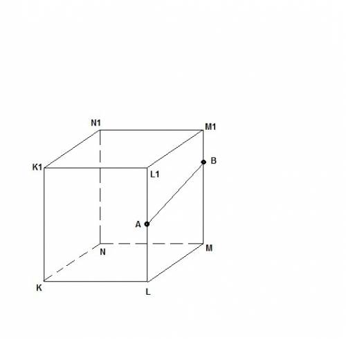 Точки а и в принадлежат ребрам лл1 и мм1 куба клмнк1л1м1н1 . сколько существует прямых, содержащих р