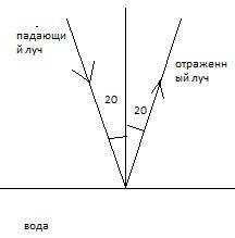 Угол падения луча на поверхность воды равен 20 °. каков угол отражения света от этой поверхности?