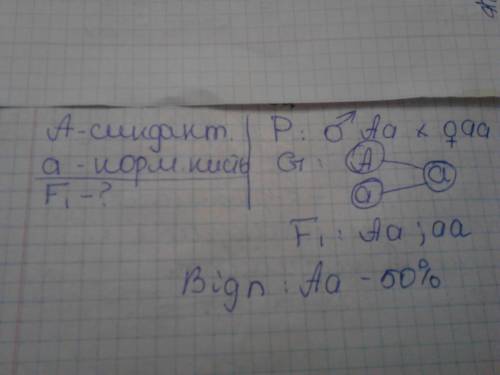 Синдактилія (зростання пальців) успадковують як ознака домінанта. яка ймовірність народження дітей з