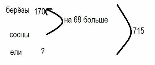 Всего 715 деревьев берез 170 сосен на 68 больше чем берез остальные ели сколько елей